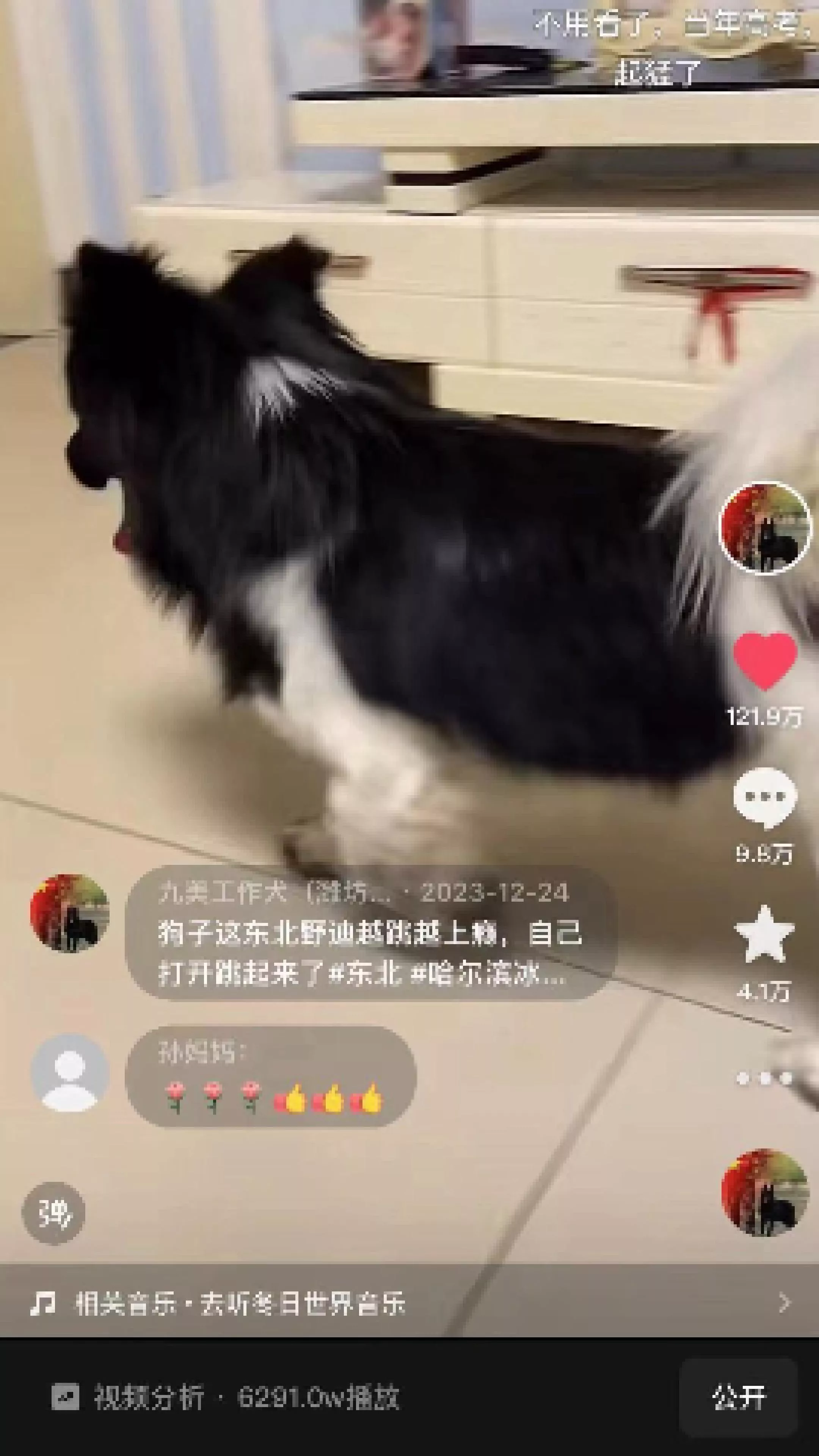 热搜短视频6291万播放量